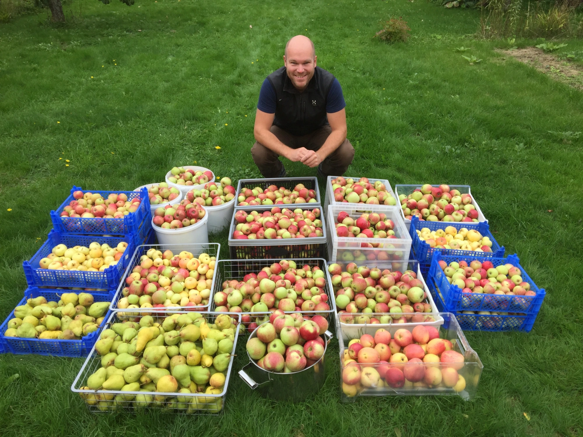 Rasmus bredvid en massa frukt